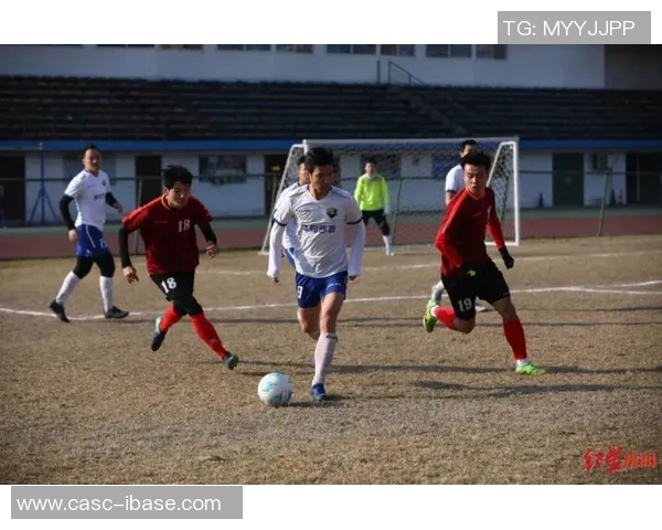 杭州网球队逆袭世界杯的传奇之路与奋斗精神的完美结合