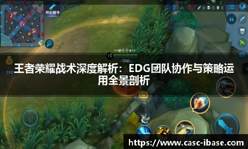 王者荣耀战术深度解析：EDG团队协作与策略运用全景剖析